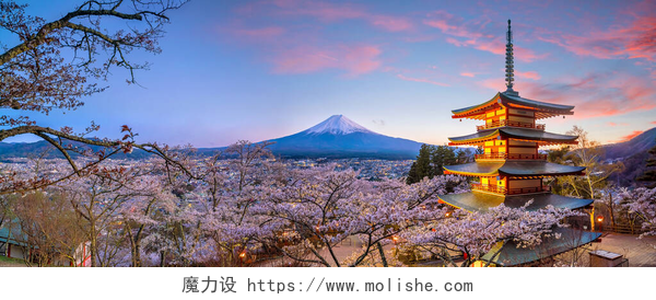 日本富士山和樱花富士山和楚里托红塔，日落时开满樱花